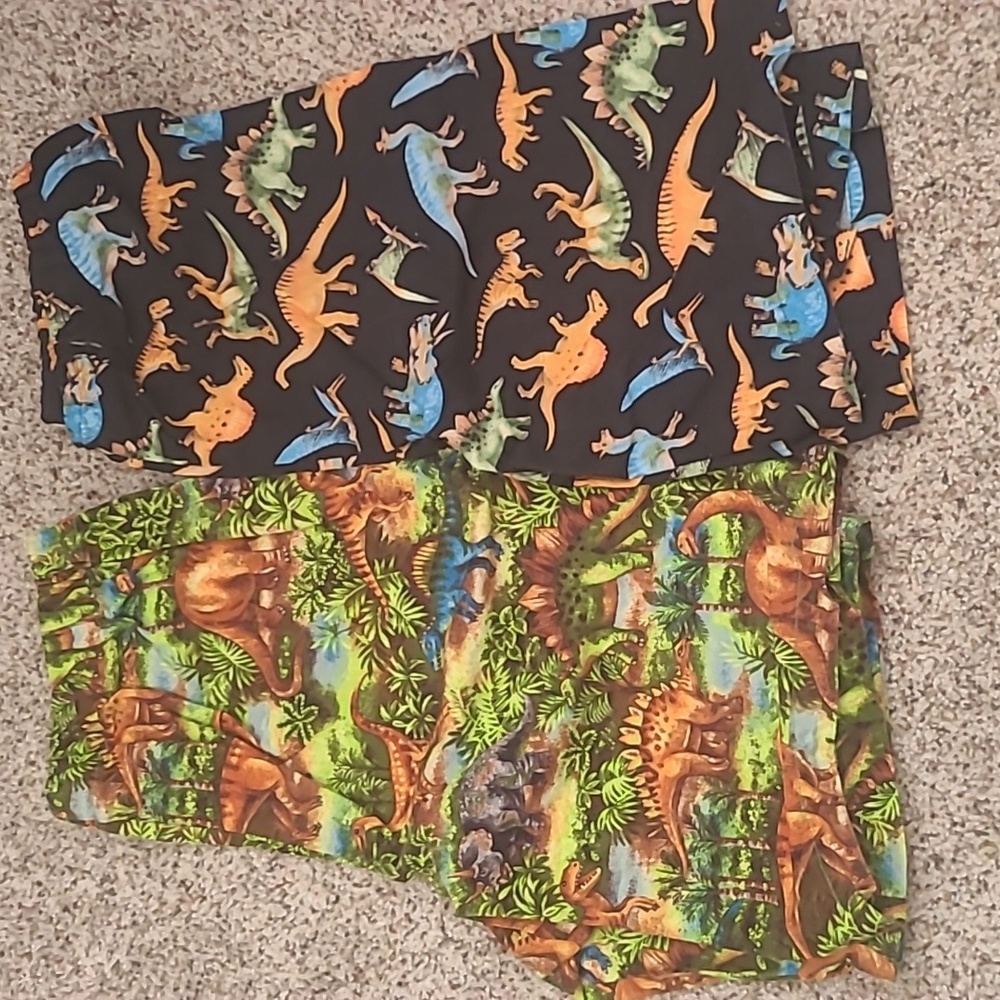 Boy's handmade dino shorts